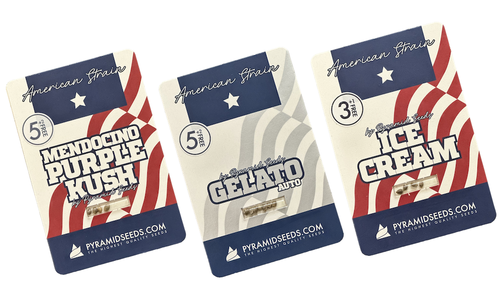 Heart Notes Pyramid Seeds